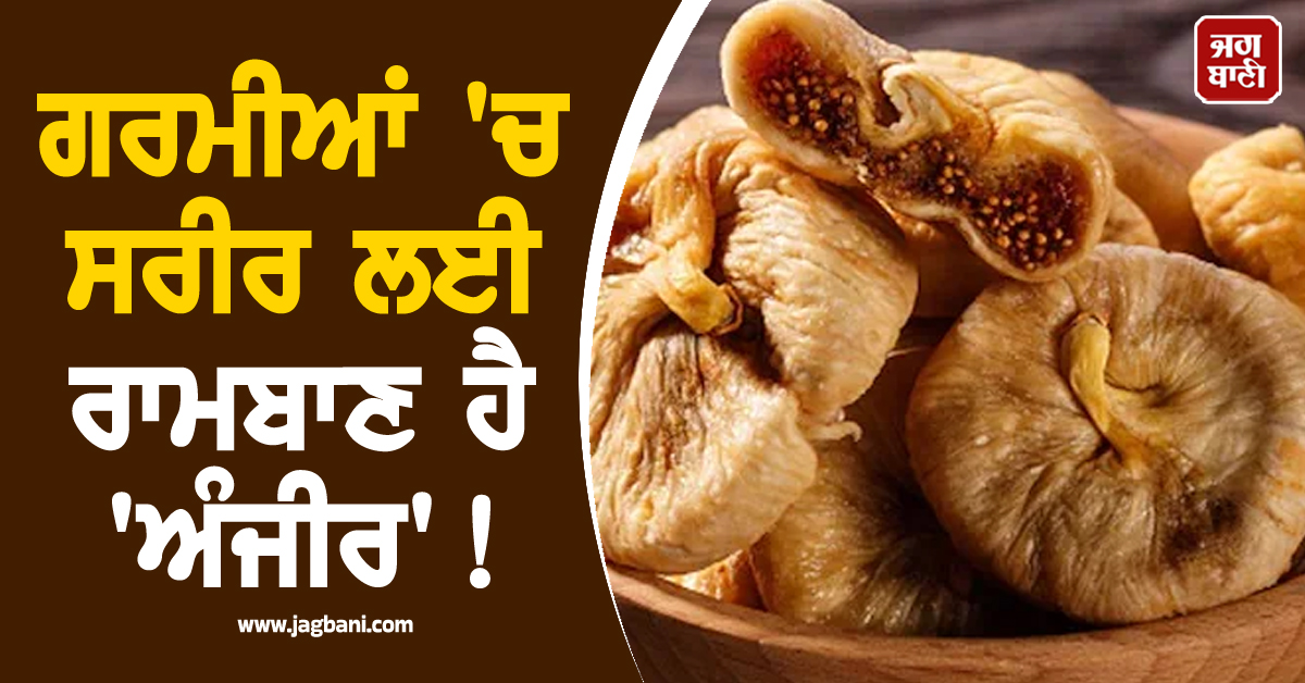 ਗਰਮੀਆਂ 'ਚ ਸਰੀਰ ਲਈ ਰਾਮਬਾਣ ਹੈ 'ਅੰਜੀਰ'! ਜਾਣੋ ਖਾਣ ਦੇ ਹੈਰਾਨੀਜਨਕ ਫਾਇਦੇ