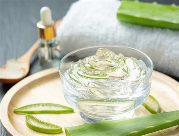 make   collagen gel   cheaply with aloe vera