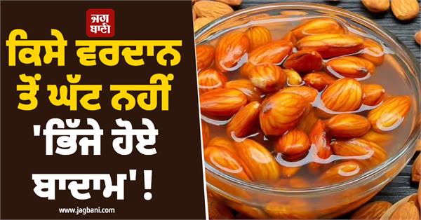 soaked almonds are no less than a blessing 