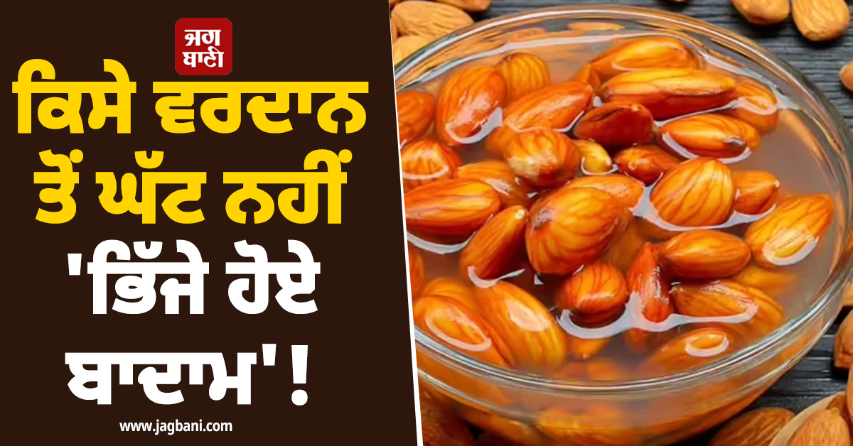 ਕਿਸੇ ਵਰਦਾਨ ਤੋਂ ਘੱਟ ਨਹੀਂ 'ਭਿੱਜੇ ਹੋਏ ਬਾਦਾਮ'! ਜਾਣ ਲਓ ਇਸ ਦੇ ਜਾਦੂਈ ਫਾਇਦੇ ਬਾਰੇ