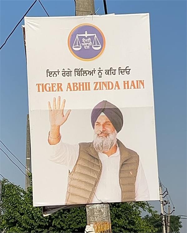 hoardings in favor of bikram majithia put up in majitha
