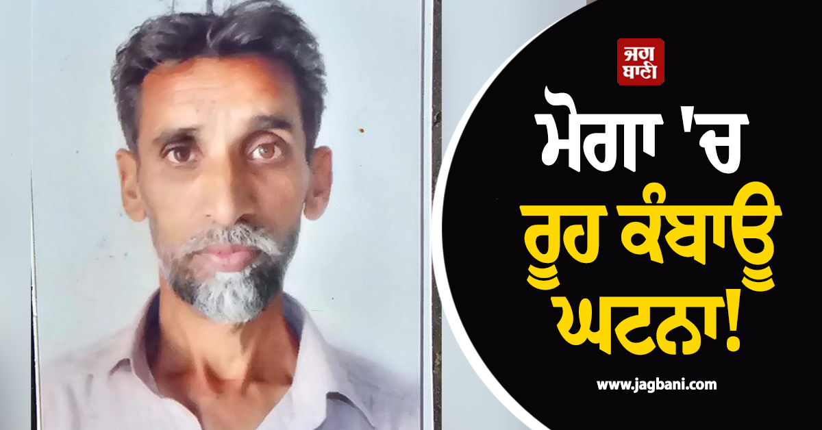 ਮੋਗਾ 'ਚ ਰੂਹ ਕੰਬਾਊ ਘਟਨਾ! ਬੰਦੇ 'ਤੇ ਅਚਾਨਕ ਅਵਾਰਾ ਕੁੱਤਿਆਂ ਦਾ ਹਮਲਾ, ਤੜਫ਼-ਤੜਫ਼ ਕੇ ਨਿਕਲੀ ਜਾਨ