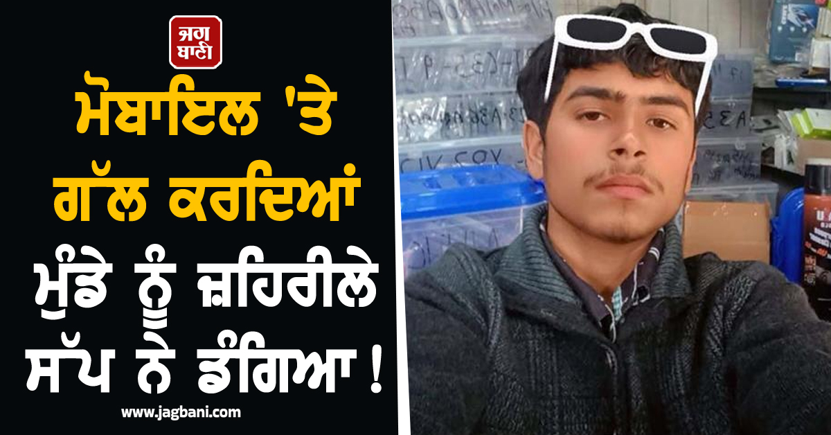 ਮੋਬਾਇਲ 'ਤੇ ਗੱਲ ਕਰਦਿਆਂ ਮੁੰਡੇ ਨੂੰ ਜ਼ਹਿਰੀਲੇ ਸੱਪ ਨੇ ਡੱਸਿਆ! ਤੜਫ਼-ਤੜਫ਼ ਕੇ ਨਿਕਲੀ ਜਾਨ