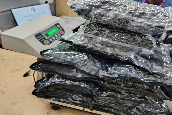 delhi airport  ganja seized  passenger arrested