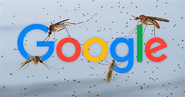 google mosquito