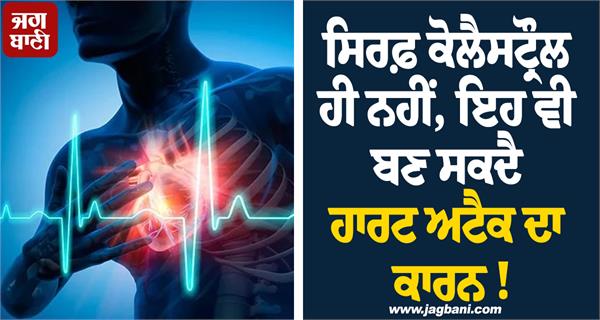not only cholesterol it can also cause heart attack