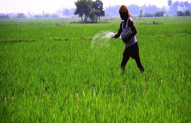 ਕਣਕ ਦੀ ਪੈਦਾਵਾਰ ''ਤੇ ਮੰਡਰਾਇਆ ਵੱਡਾ ਸੰਕਟ, ਪੰਜਾਬ-ਹਰਿਆਣਾ ''ਚ ਉਤਪਾਦਨ ਦਰ ''ਚ ਭਾਰੀ ਗਿਰਾਵਟ