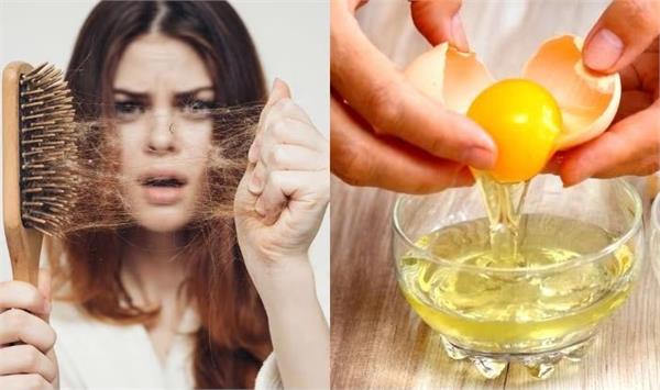benefits of applying egg to hair