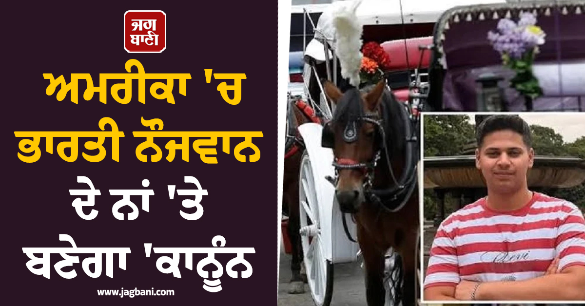 ਅਮਰੀਕਾ 'ਚ ਭਾਰਤੀ ਨੌਜਵਾਨ ਦੇ ਨਾਂ 'ਤੇ ਬਣੇਗਾ 'ਕਾਨੂੰਨ'; ਘੋੜਾ-ਗੱਡੀਆਂ 'ਤੇ ਪਾਬੰਦੀ ਦੀ ਤਿਆਰੀ