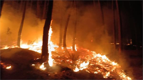 forest  fire  naina devi temple  devotees