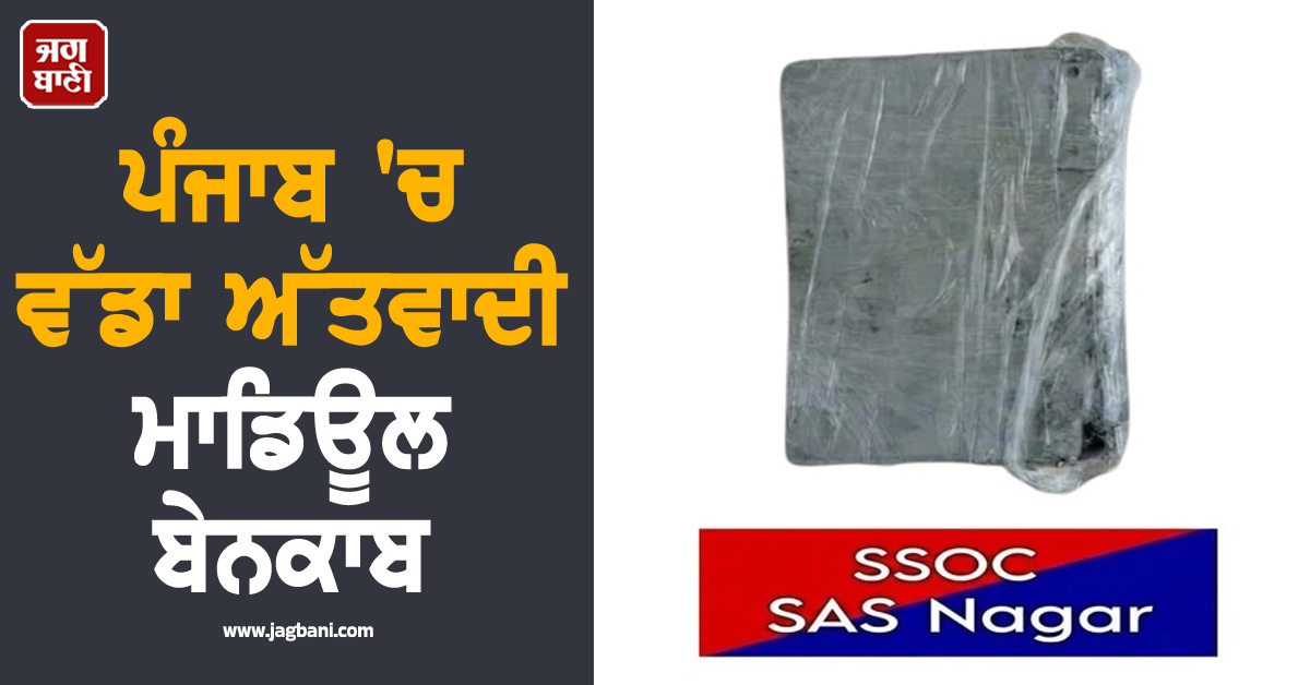 ਪੰਜਾਬ 'ਚ ਵੱਡਾ ਅੱਤਵਾਦੀ ਮਾਡਿਊਲ ਬੇਨਕਾਬ, ਜਨਤਕ ਢਾਂਚੇ ਨੂੰ ਨਿਸ਼ਾਨਾ ਬਣਾਉਣ ਦੀ ਸੀ ਤਿਆਰੀ