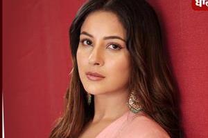 shehnaaz gill gets married 