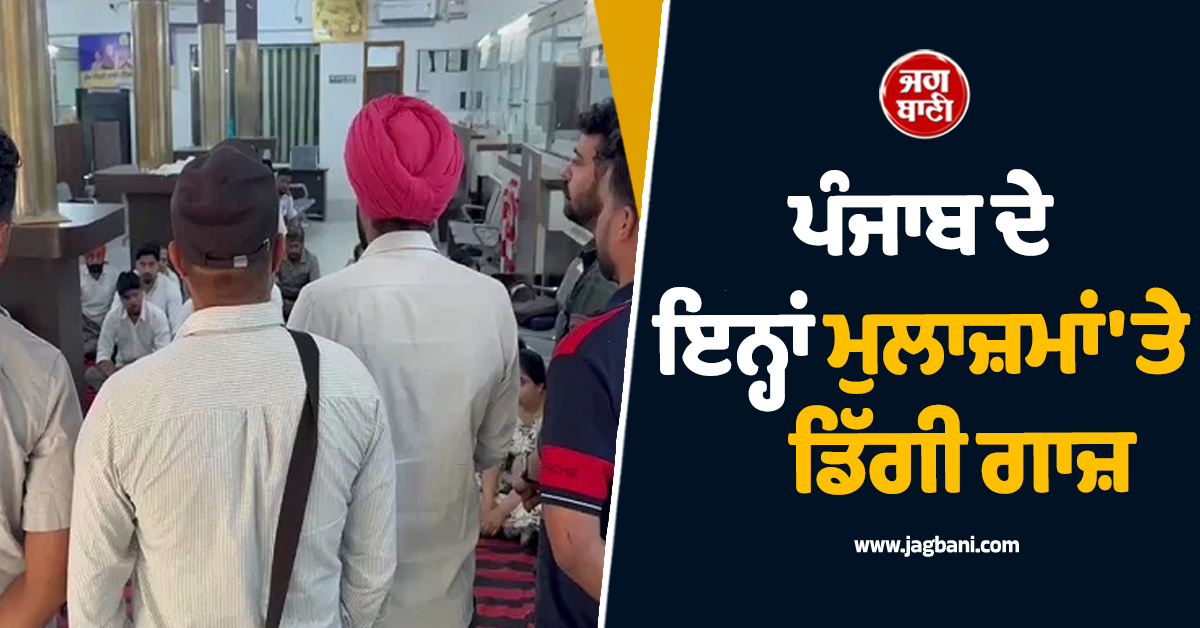 ਪੰਜਾਬ ਦੇ ਇਨ੍ਹਾਂ ਮੁਲਾਜ਼ਮਾਂ 'ਤੇ ਡਿੱਗੀ ਗਾਜ਼, ਨੌਕਰੀ ਨੂੰ ਲੈ ਕੇ ਸਖ਼ਤ ਫਰਮਾਨ ਜਾਰੀ, ਪੜ੍ਹੋ ਕੀ ਹੈ ਪੂਰਾ ਮਾਮਲਾ