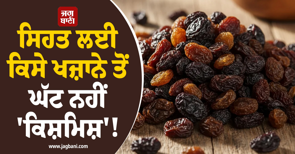 ਸਿਹਤ ਲਈ ਕਿਸੇ ਖਜ਼ਾਨੇ ਤੋਂ ਘੱਟ ਨਹੀਂ 'ਕਿਸ਼ਮਿਸ਼'! ਜਾਣੋ ਇਸ ਦੇ ਹੈਰਾਨੀਜਨਕ ਫਾਇਦੇ