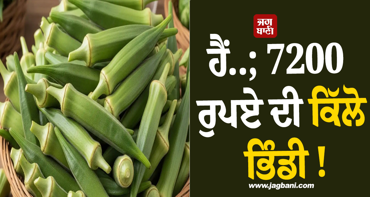 ਹੈਂ..; 7200 ਰੁਪਏ ਦੀ ਕਿੱਲੋ ਭਿੰਡੀ ! ਅਮਰੀਕੀ ਸਟੋਰ ''ਚ ਰੇਟ ਦੇਖ ਉੱਡਣਗੇ ਹੋਸ਼, ਵੀਡੀਓ ਹੋ ਗਈ ਵਾਇਰਲ
