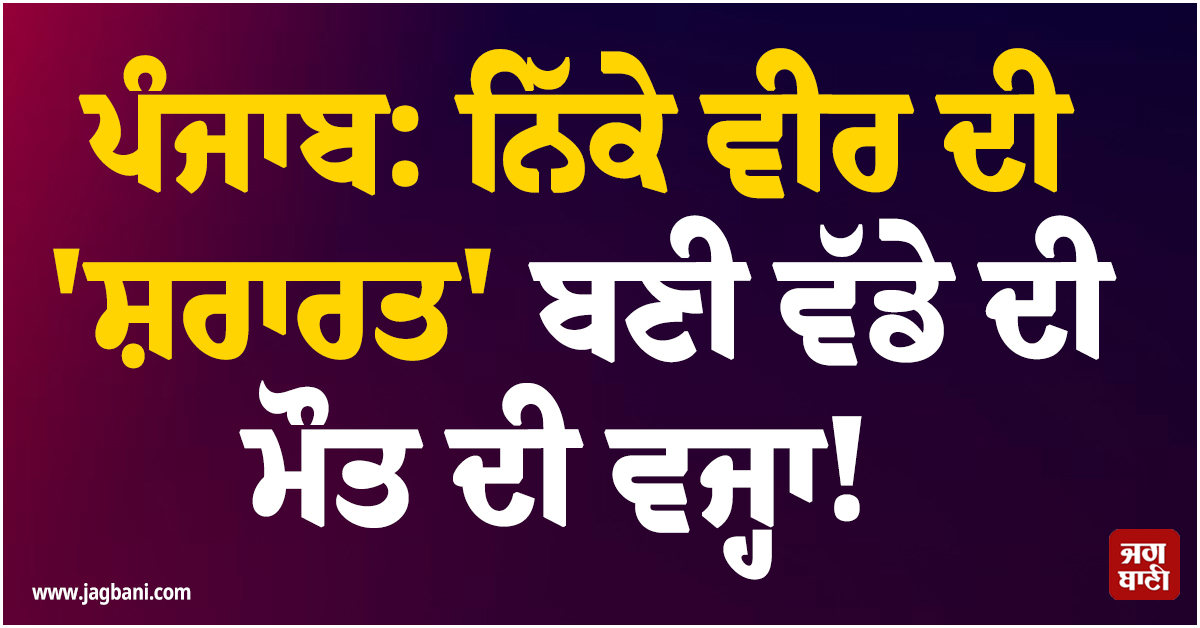 ਪੰਜਾਬ: ਨਿੱਕੇ ਵੀਰ ਦੀ ''ਸ਼ਰਾਰਤ'' ਬਣੀ ਵੱਡੇ ਦੀ ਮੌਤ ਦੀ ਵਜ੍ਹਾ! ਪਰਿਵਾਰ ''ਤੇ ਟੁੱਟਿਆ ਦੁੱਖਾਂ ਦਾ ਪਹਾੜ