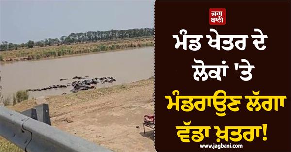 flood threat looms over people of mand region water released into beas river