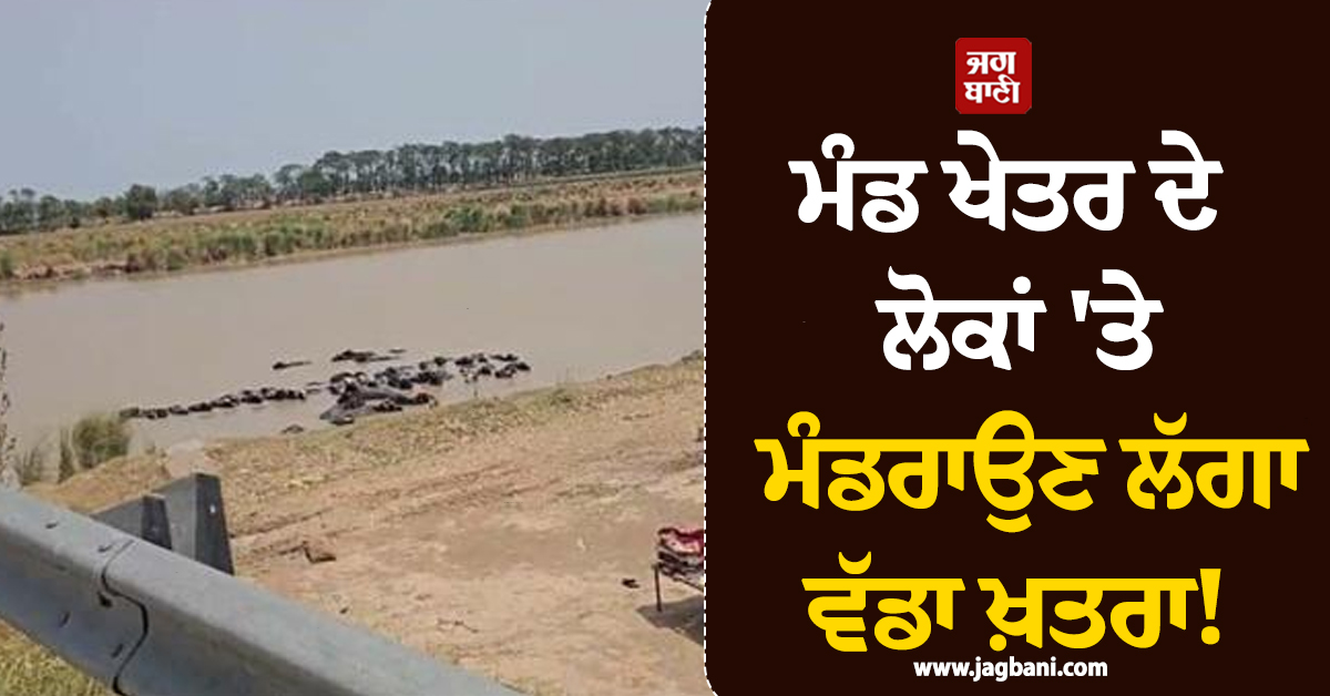 ਮੰਡ ਖੇਤਰ ਦੇ ਲੋਕਾਂ ''ਤੇ ਮੰਡਰਾਉਣ ਲੱਗਾ ਵੱਡਾ ਖ਼ਤਰਾ! ਬਿਆਸ ਦਰਿਆ ''ਚ ਛੱਡਿਆ ਪਾਣੀ