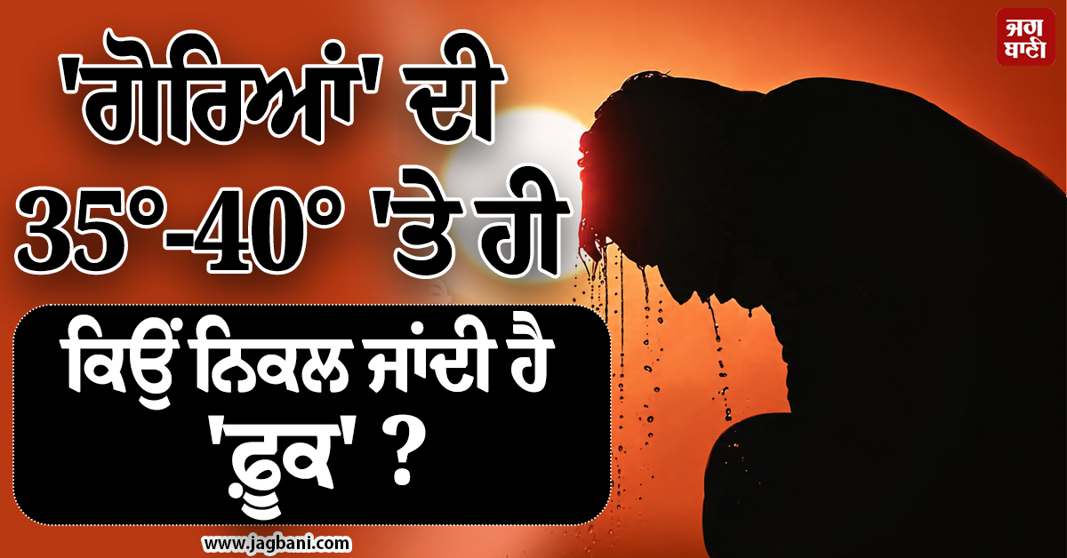 50° ਗਰਮੀ ''ਚ ਵੀ ਭਾਰਤੀ ਨਹੀਂ ਕਰਦੇ ਪਰਵਾਹ ! ਫ਼ਿਰ ''ਗੋਰਿਆਂ'' ਦੀ 35°-40° ''ਤੇ ਹੀ ਕਿਉਂ ਨਿਕਲ ਜਾਂਦੀ ਹੈ ''ਫ਼ੂਕ'' ?