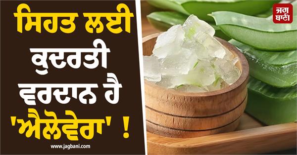 aloe vera is a natural boon for health 