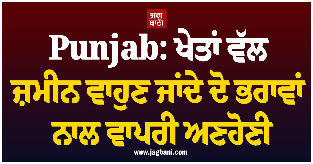 Punjab: ਖੇਤਾਂ ਵੱਲ ਜ਼ਮੀਨ ਵਾਹੁਣ ਜਾਂਦੇ ਦੋ ਭਰਾਵਾਂ ਨਾਲ ਵਾਪਰੀ ਅਣਹੋਣੀ, ਇਕ ਦੀ ਦਰਦਨਾਕ ਮੌਤ