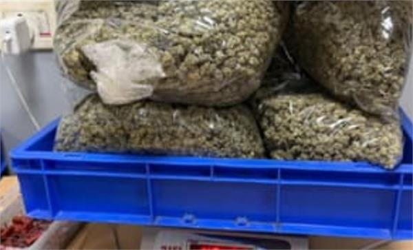delhi airport  passengers  narcotics  seized  bangkok