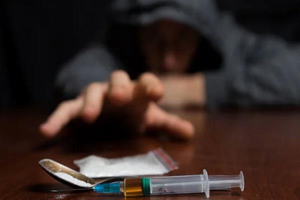 slow pace of drug survey in punjab