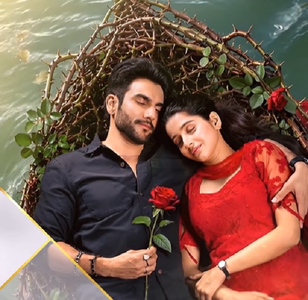 ਸਟਾਰ ਪਲੱਸ ਨੇ ਨਵੇਂ ਸ਼ੋਅ ''ਯੇ ਫਿਤੂਰ ਤੇਰਾ'' ਦਾ ਪਹਿਲਾ ਪ੍ਰੋਮੋ ਕੀਤਾ ਜਾਰੀ