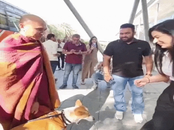 3700 ਕਿਲੋਮੀਟਰ ਪੈਦਲ ਯਾਤਰਾ ਕਰਨ ਵਾਲੇ Dog ਨੂੰ ਮਿਲਣ ਲਈ ਲੱਗੀ ਭੀੜ, ਕੁੜੀਆਂ ਨੇ ਲਈਆਂ ਸੈਲਫੀਆਂ