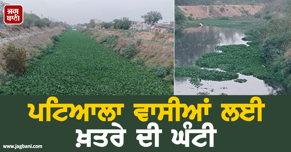 ਪਟਿਆਲਾ ਵਾਸੀਆਂ ਲਈ ਖ਼ਤਰੇ ਦੀ ਘੰਟੀ, ਅਜੇ ਵੀ ਸੰਭਲਣ ਦਾ ਮੌਕਾ