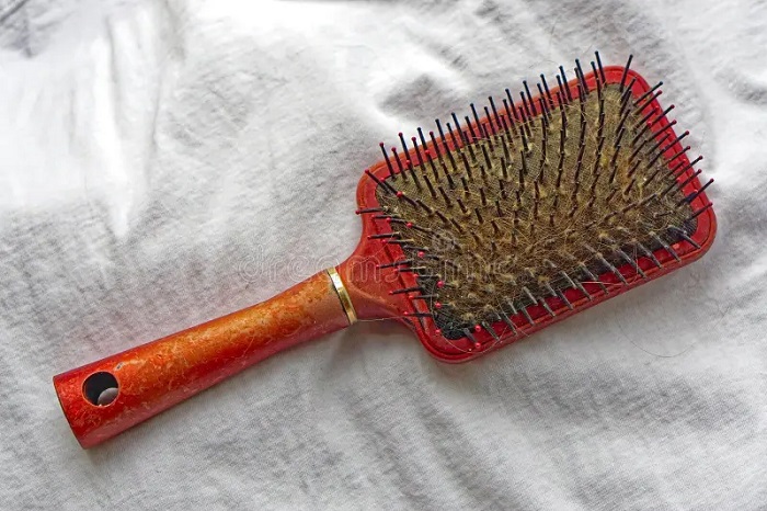 ਗੰਦੇ Hairbrush ਦੀ ਵਰਤੋਂ ਕਰਨਾ ਪੈ ਸਕਦੈ ਭਾਰੀ! ਜਾਣੋ ਕਿੰਨੇ ਬਾਅਦ ਕੰਗੀ ਨੂੰ ਧੋਣਾ ਚਾਹੀਦੈ