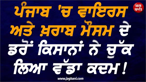 punjab farmers decision