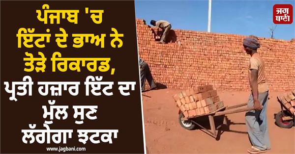 bricks in punjab  price of bricks