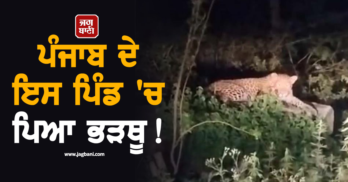 ਪੰਜਾਬ ਦੇ ਇਸ ਪਿੰਡ 'ਚ ਪਿਆ ਭੜਥੂ! Alert ਦੀ ਸਲਾਹ, ਘਰੋਂ ਬਾਹਰ ਨਿਕਲਣ ਤੋਂ ਵੀ ਡਰਨ ਲੱਗੇ ਲੋਕ