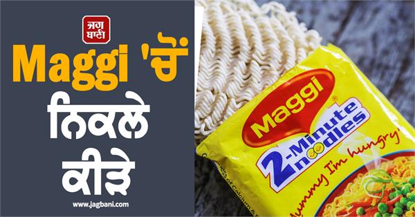 worms in maggi shares fall fssai issues notice to nestle and kfc