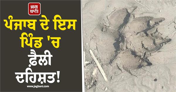 footprints of a leopard like animal were also found near village gunachaur