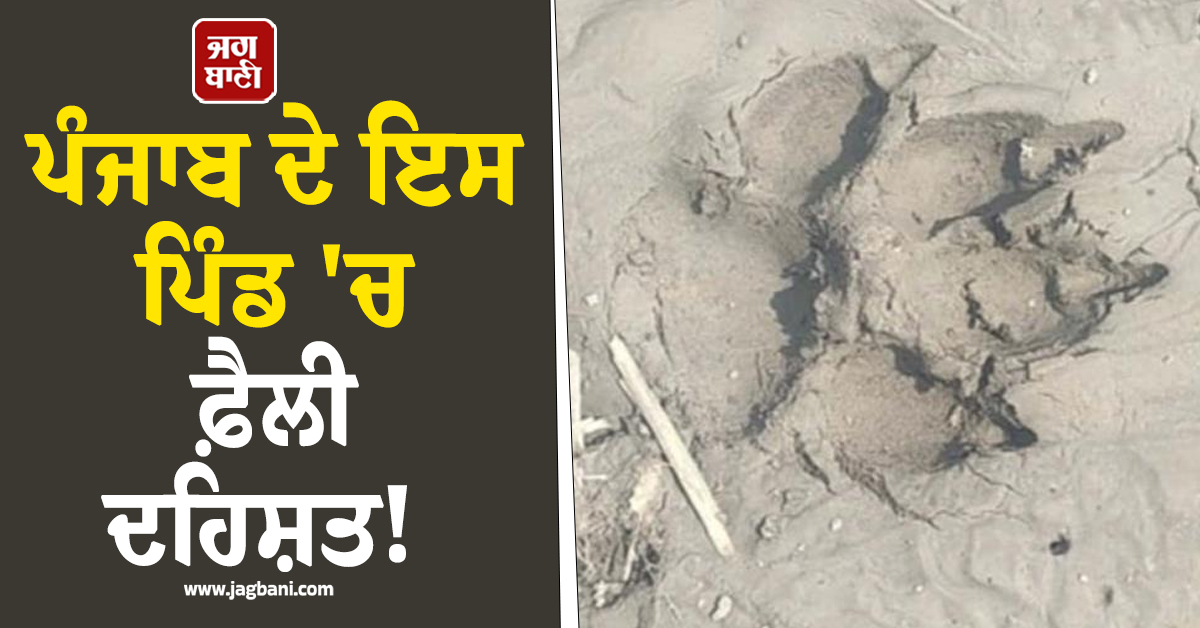 ਪੰਜਾਬ ਦੇ ਇਸ ਪਿੰਡ ''ਚ ਫ਼ੈਲੀ ਦਹਿਸ਼ਤ! ਰਾਤ ਵੇਲੇ ਘਰੋਂ ਬਾਹਰ ਨਿਕਲਣ ਤੋਂ ਡਰਨ ਲੱਗੇ ਲੋਕ