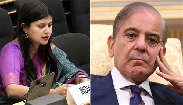 india calls pak  frankenstein state  at un