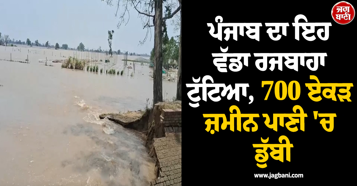 ਪੰਜਾਬ ਦਾ ਇਹ ਵੱਡਾ ਰਜਬਾਹਾ ਟੁੱਟਿਆ, 700 ਏਕੜ ਜ਼ਮੀਨ ਪਾਣੀ 'ਚ ਡੁੱਬੀ