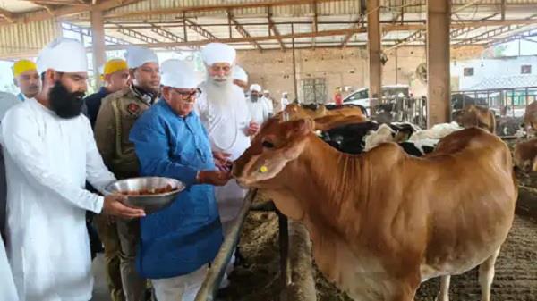 punjab governor kataria ram singh
