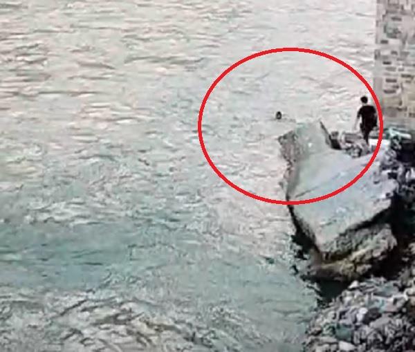 kapurthala youth drowns river after saving the lives of two friends