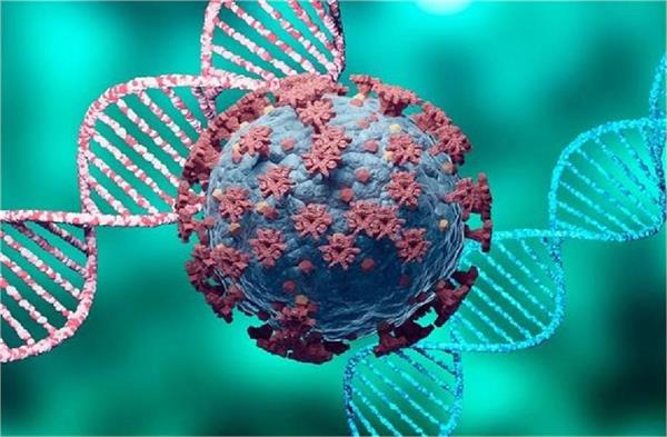 chandipura virus hits rajasthan