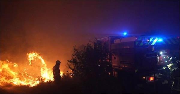 fire in french forests causes devastation