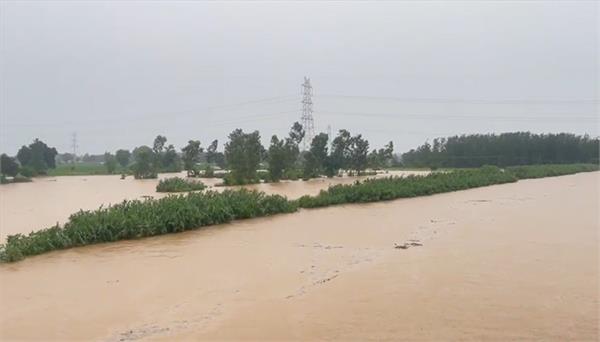border area bamiyal  s jalali river overflows