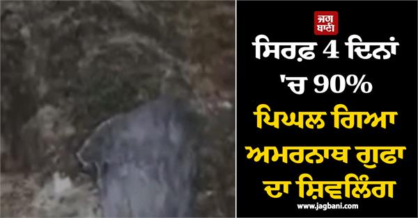 only 4 days 90 melted amarnath shivling video