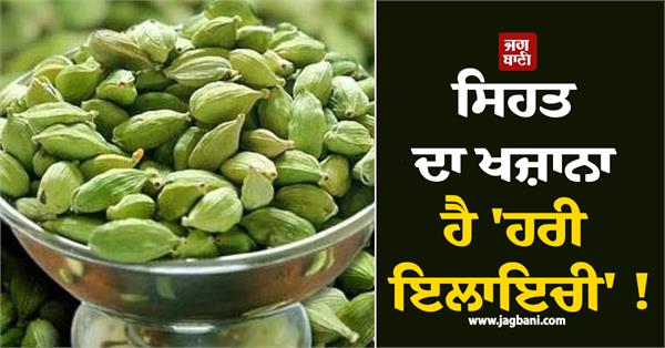 green cardamom is a treasure of health