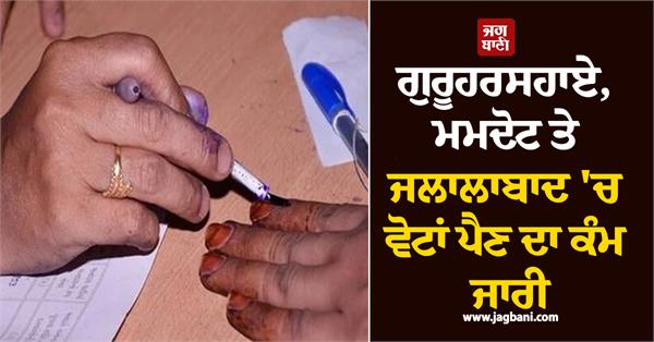 voting continues in guruharsahai mamdot and jalalabad