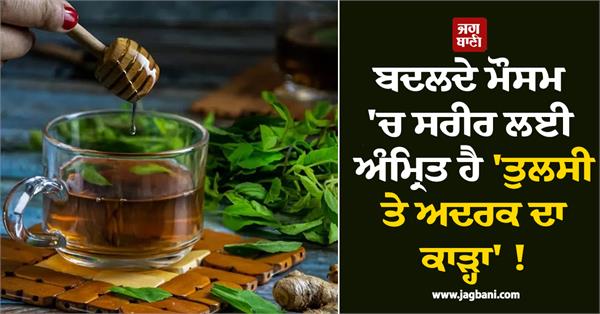 benefits of drinking basil and ginger decoction