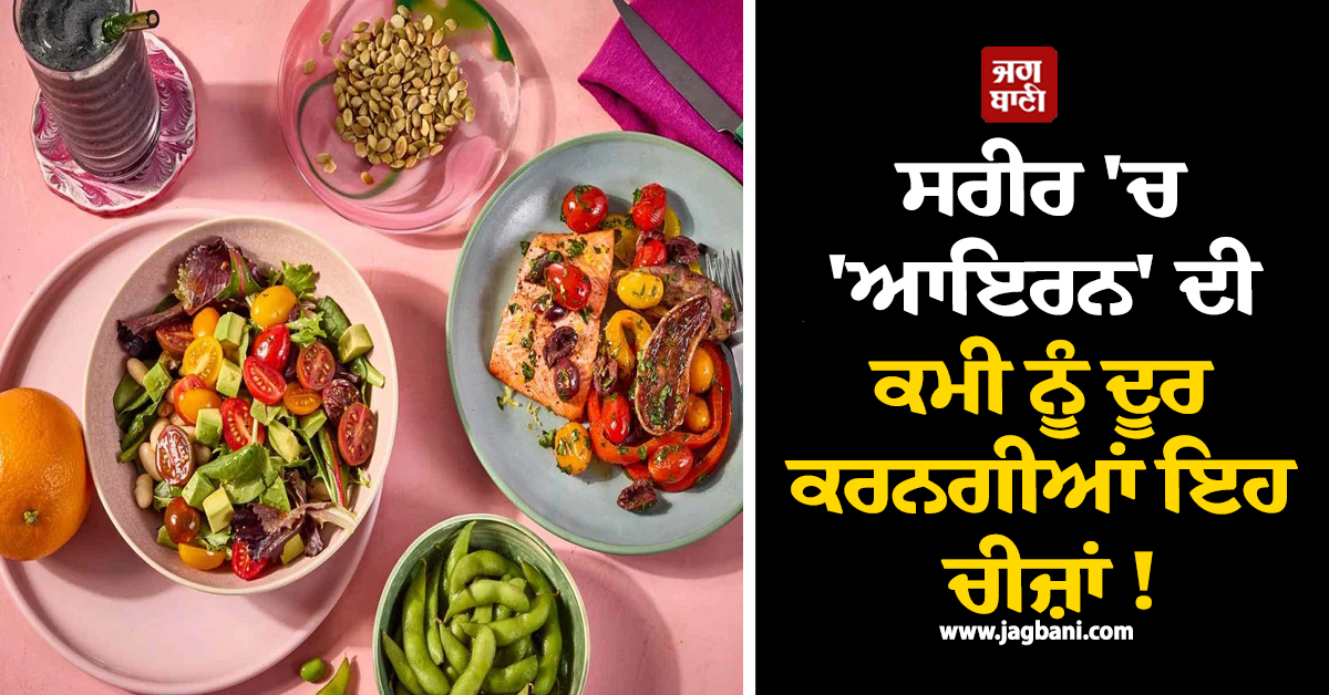 ਸਰੀਰ 'ਚ 'ਆਇਰਨ' ਦੀ ਕਮੀ ਨੂੰ ਦੂਰ ਕਰਨਗੀਆਂ ਇਹ ਚੀਜ਼ਾਂ ! ਹੁਣੇ ਕਰੋ ਡਾਈਟ 'ਚ ਸ਼ਾਮਲ