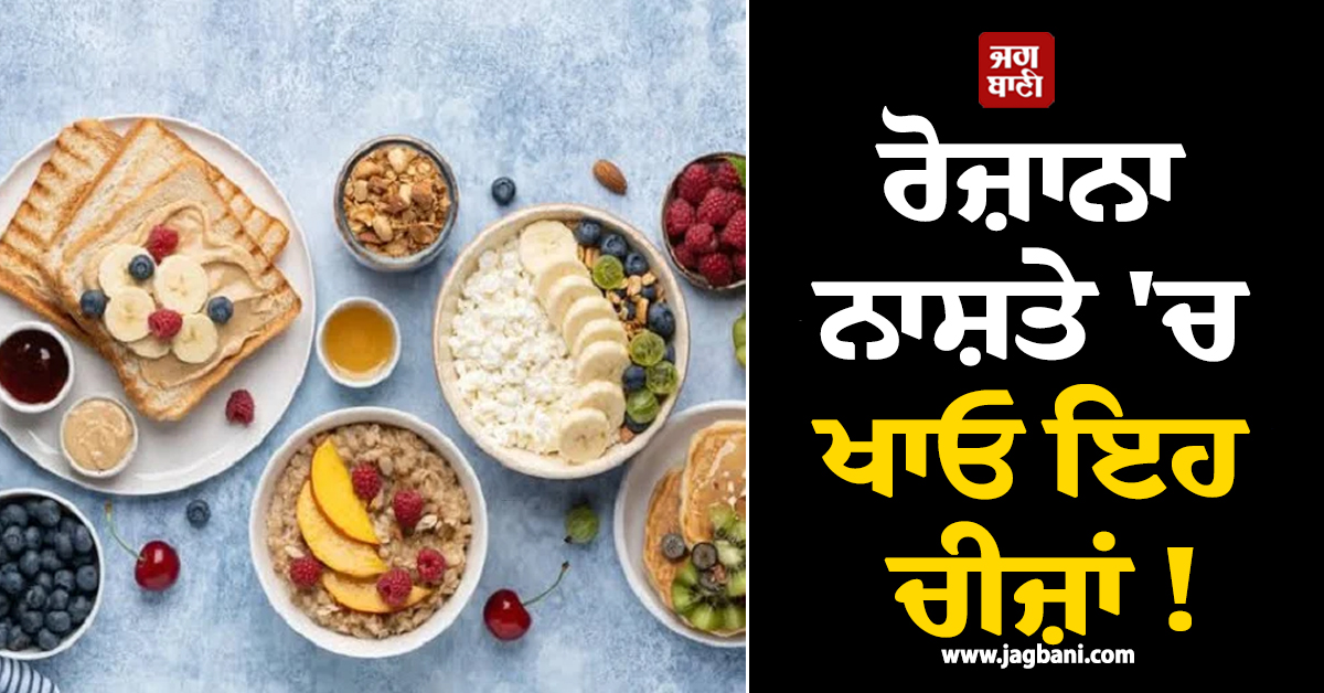 ਰੋਜ਼ਾਨਾ ਨਾਸ਼ਤੇ 'ਚ ਖਾਓ ਇਹ ਚੀਜ਼ਾਂ ! ਕਮਜ਼ੋਰੀ ਤੇ ਸੁਸਤੀ ਰਹੇਗੀ ਕੋਹਾਂ ਦੂਰ